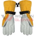 Ski Gloves
